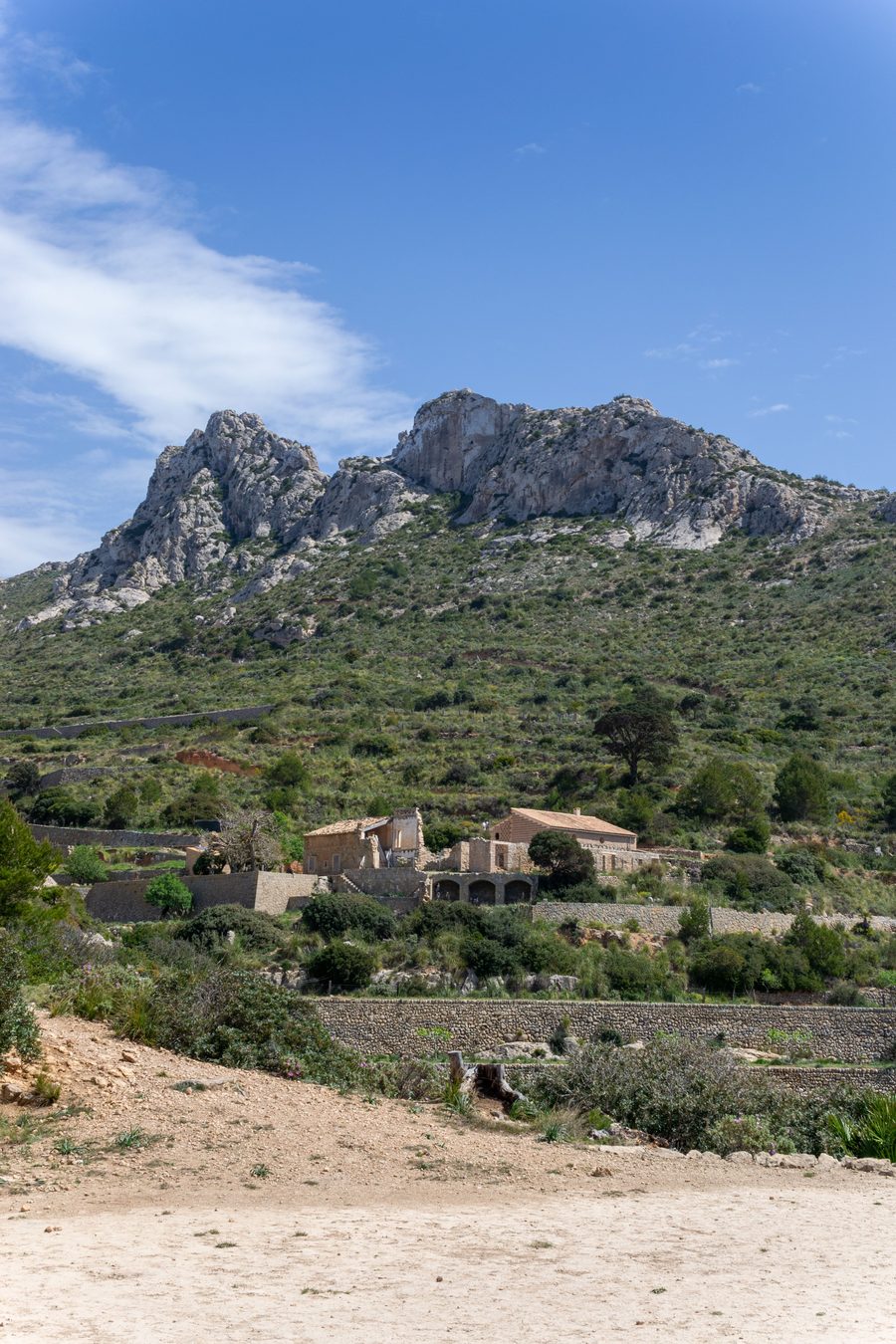 Steinfinca vor den Felsen der Tramuntana auf Mallorca unter blauem Himmel